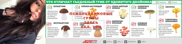 apvp Богданович