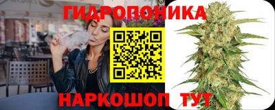 jwh Камень-на-Оби