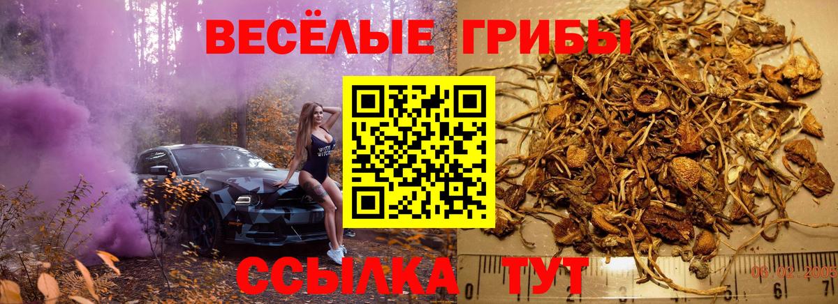 Псилоцибиновые грибы Magic Shrooms  Псилоцибиновые грибы мухоморы  Вход с VPN  Дальнегорск 
